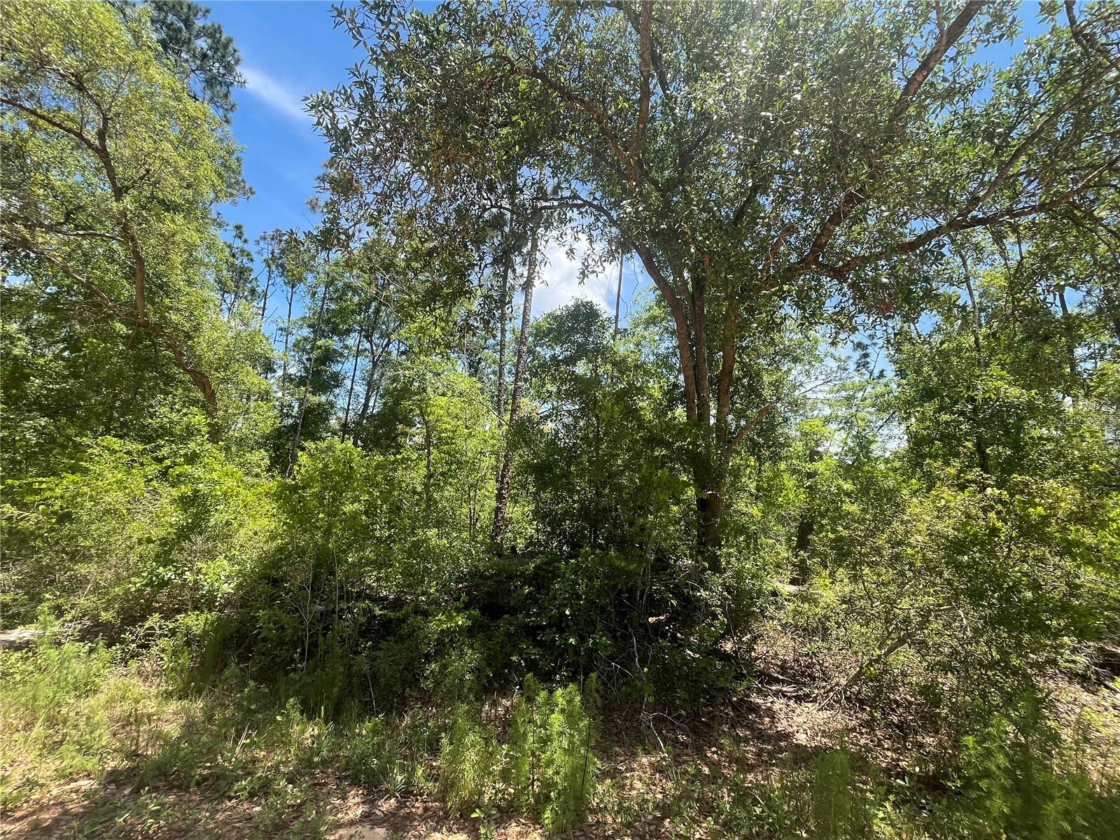 COMPASS LAKE HILLS - Land