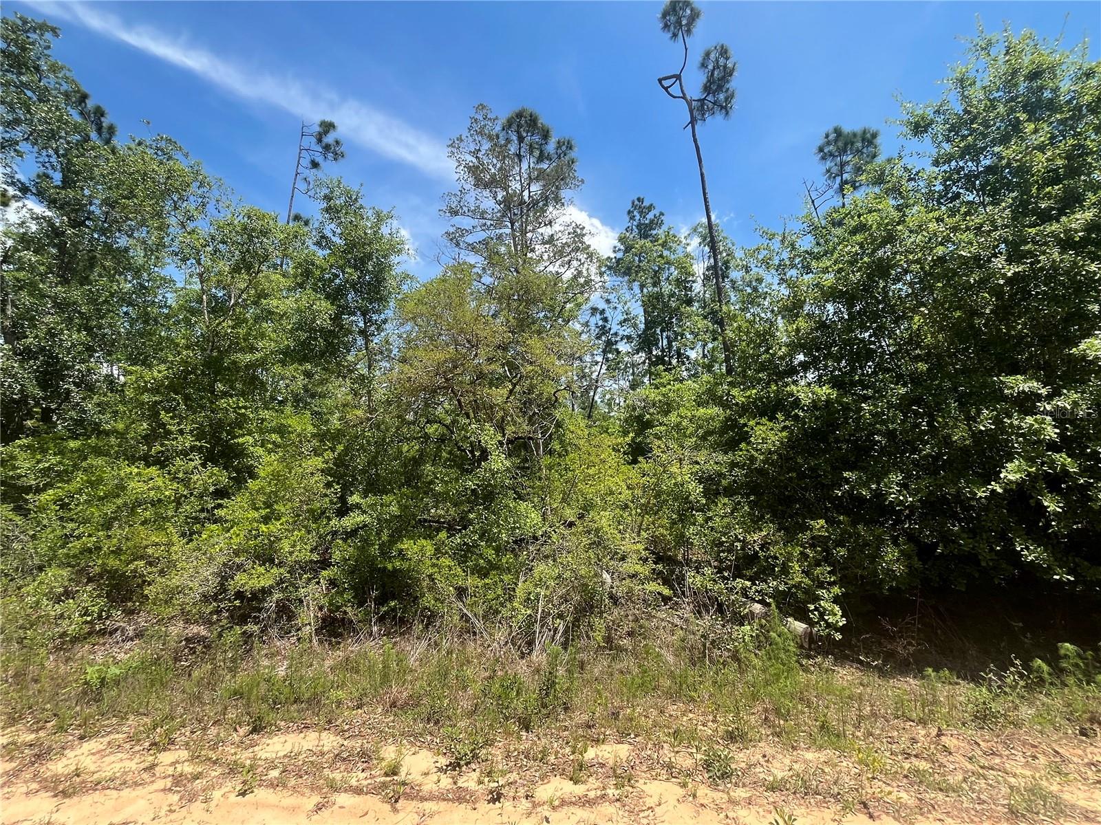 COMPASS LAKE HILLS - Land