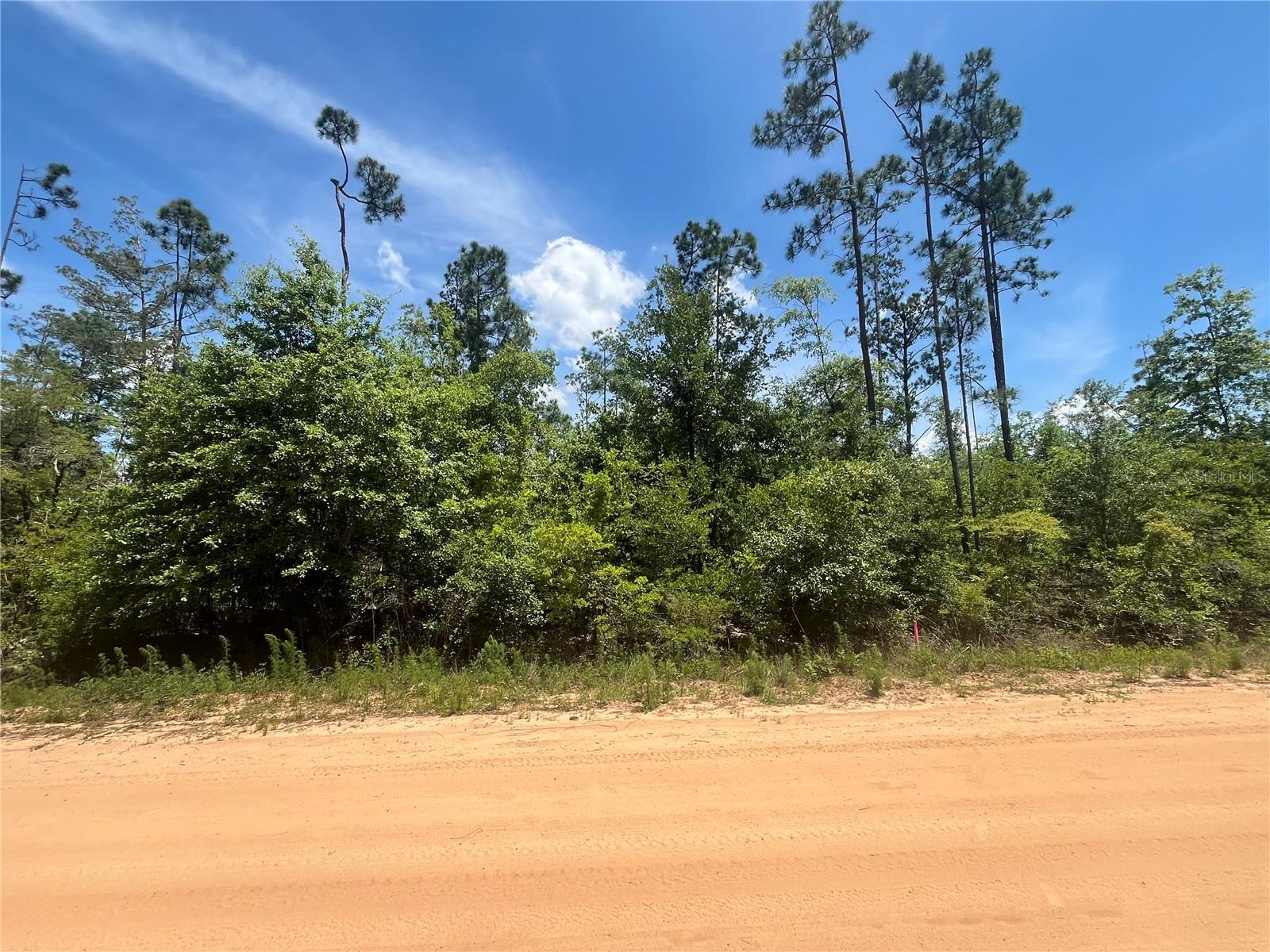 Owner Financing Available! Don’t miss out on this wooded 1.12-acre residential lot just off the paved road in Compass Lake in the Hills, located just outside of Marianna, FL. This property offers a peaceful and private setting, ideal for building your dream home or investing in Florida’s expanding panhandle region. Enjoy close proximity to beautiful Compass Lake, a recreational haven for boating, skiing, fishing, and swimming. The community also features a clubhouse with restaurant, tennis courts, swimming pool, picnic areas, and a business center. Conveniently located near Highway 231, this lot is approximately 45 minutes to Panama City and about an hour to the Gulf Coast’s stunning beaches. Whether you're ready to build or looking for a long-term investment, this lot offers excellent value and lifestyle potential. For directional purposes only, the closest address is 499 Tamarac Rd, Marianna, FL 32448.