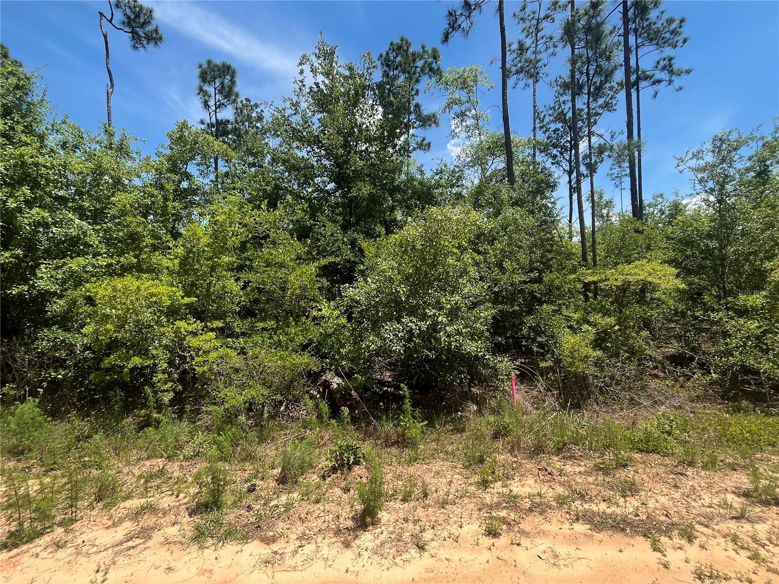 COMPASS LAKE HILLS - Land