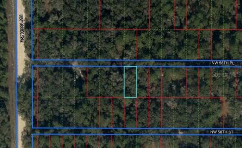 Lot 9 NW 58 PLACE CHIEFLAND FL 32626
