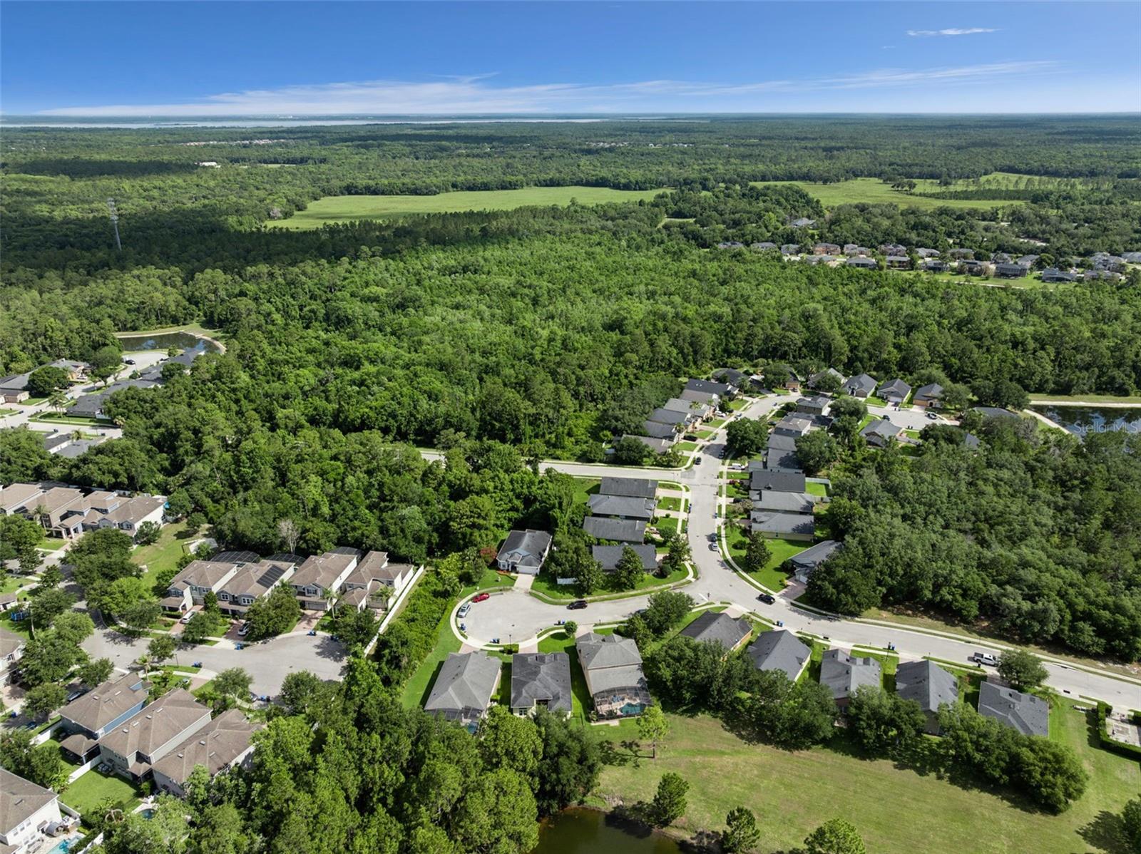 2787 BLUE SPRINGS COVE