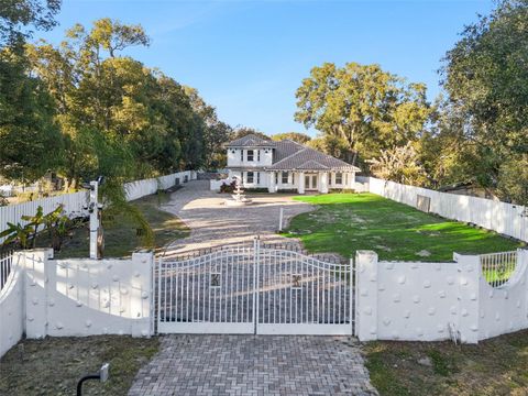 Photo of 20 Rewis Street, Ocoee, FL 34761 (MLS # O6378816)