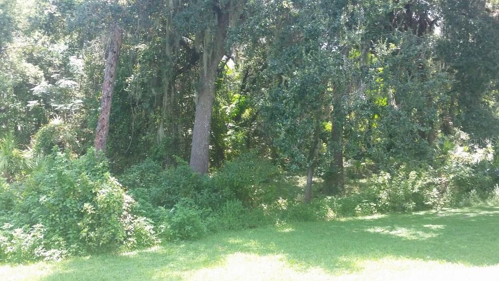 DELTONA LAKES UNIT 52 - Land