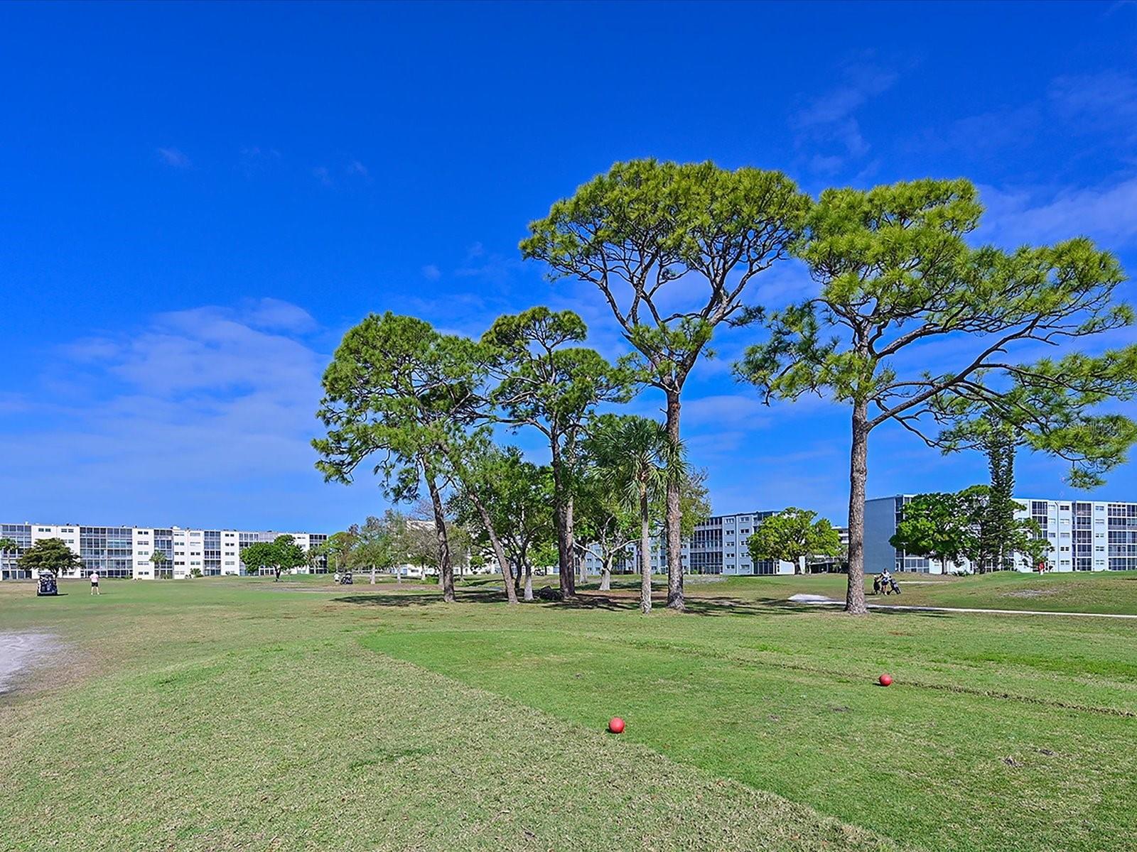 IRONWOOD TWELFTH - Residential