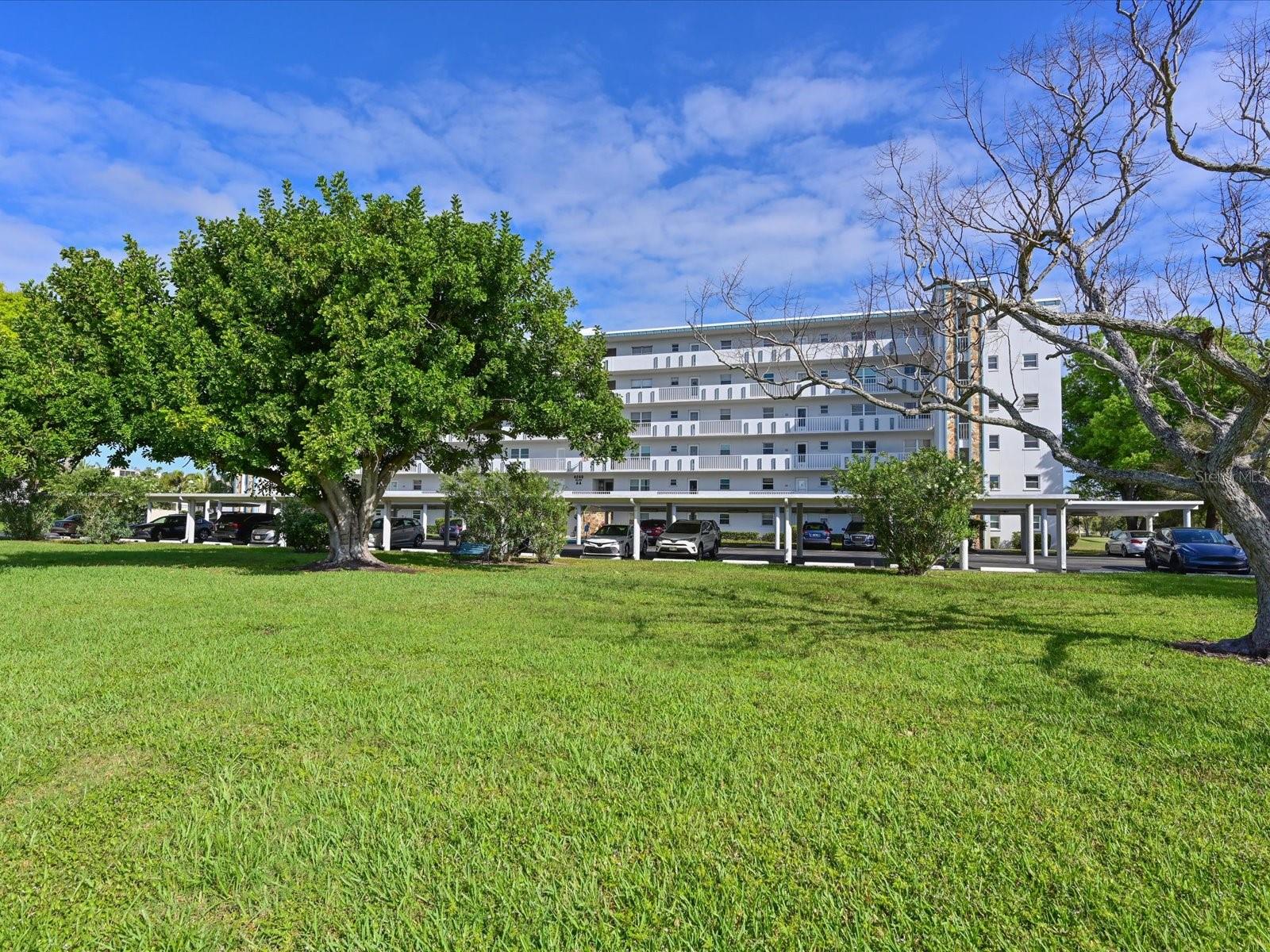 IRONWOOD TWELFTH - Residential