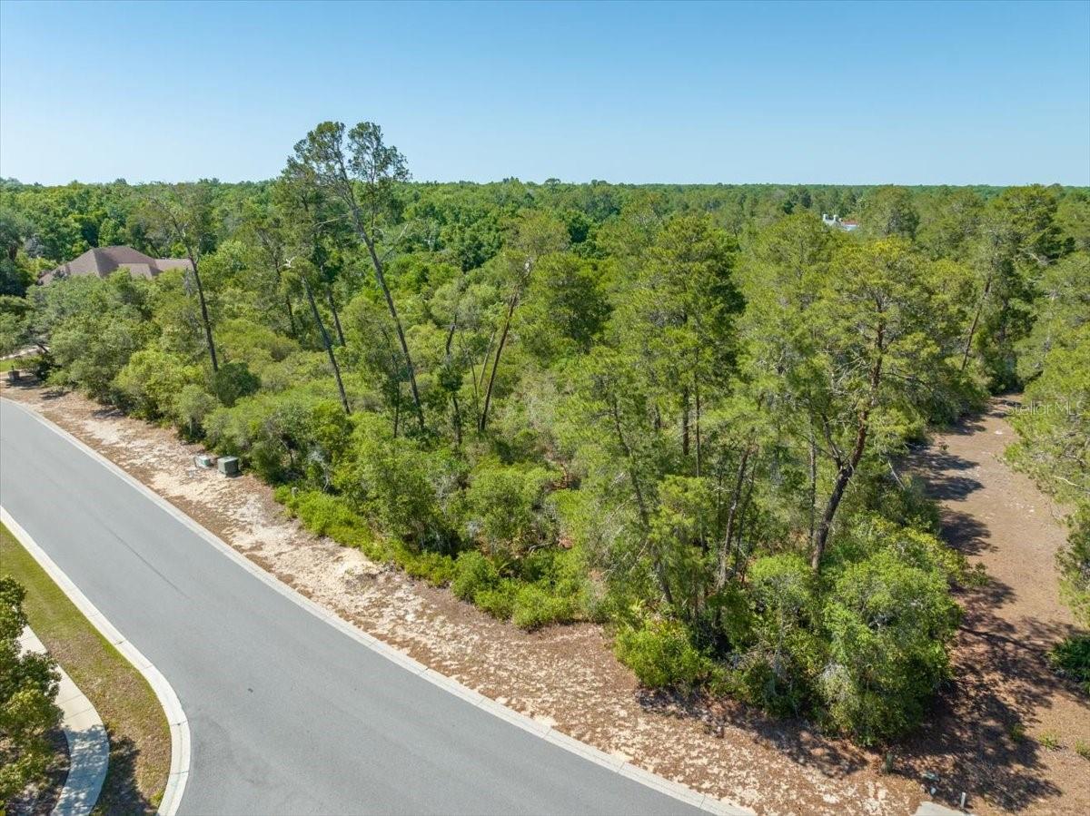 WATERS OF WEEKI WACHEE - Land