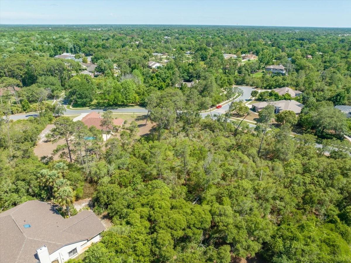 WATERS OF WEEKI WACHEE - Land