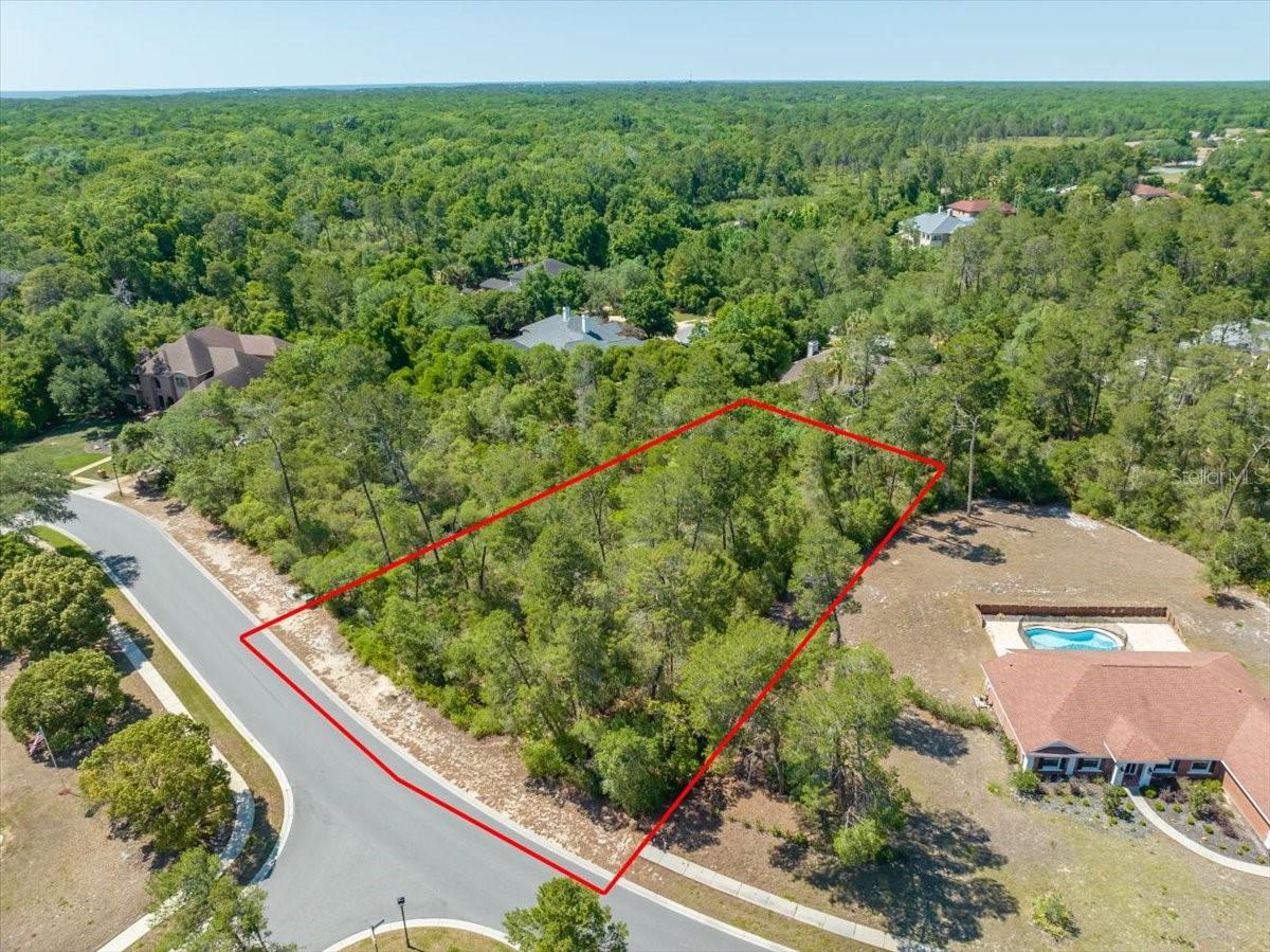 WATERS OF WEEKI WACHEE - Land