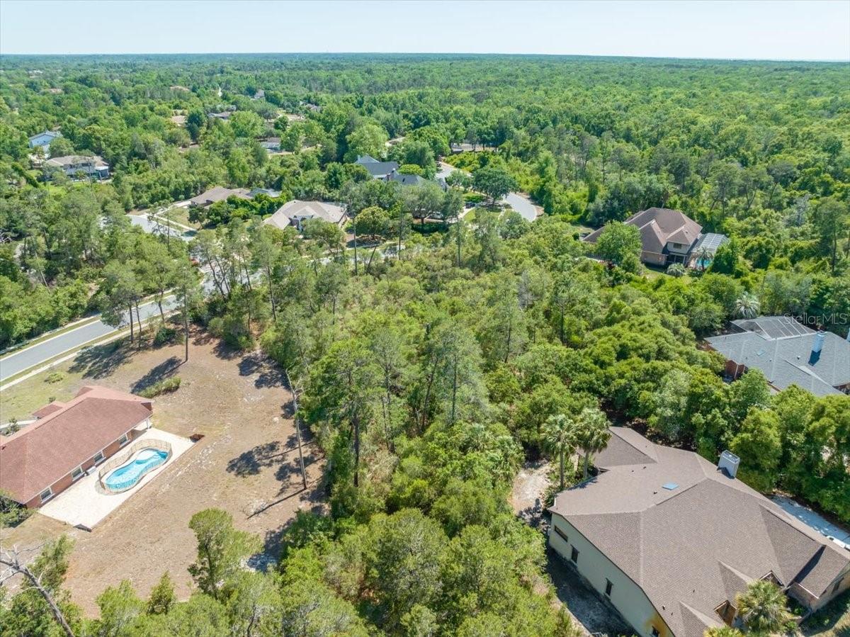 WATERS OF WEEKI WACHEE - Land