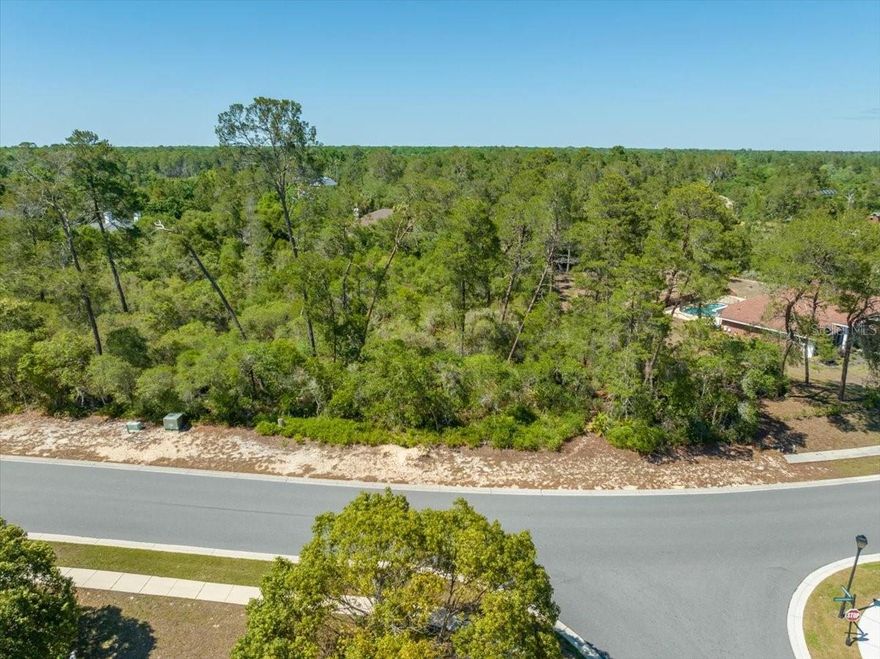 Come build your DREAM HOME among the beautifully treed community of The Waters, where you'll find a private kayak launch right into the sparkling Weeki Wachee River, fed by one of the largest springheads around! Play a quick game of tennis before dinner, take a walk afterwards, soaking in the beauty around you! With a location tucked back off of US 19, you'll have quick access to Homosassa, Crystal River, Tarpon Springs or hop on the expressway to Tampa. Better yet, stay right here in Spring Hill and enjoy everything your hometown has to offer with its ever growing commerce! It all starts with the first step of viewing this gorgeous .65 acre lot just inside the guarded gate and imagining your family's greatest adventure beginning right here!