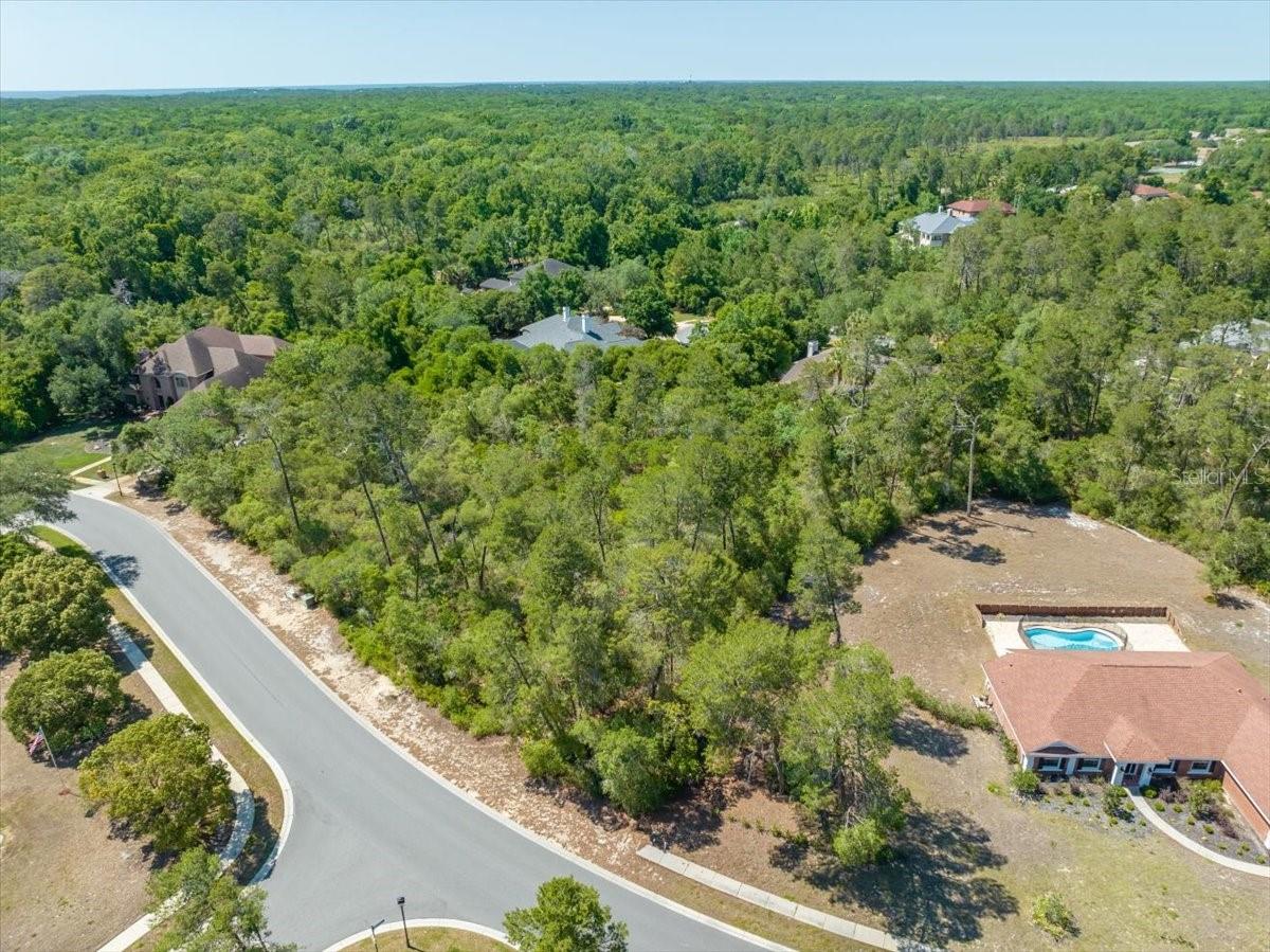 WATERS OF WEEKI WACHEE - Land