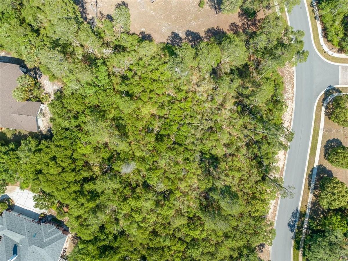 WATERS OF WEEKI WACHEE - Land