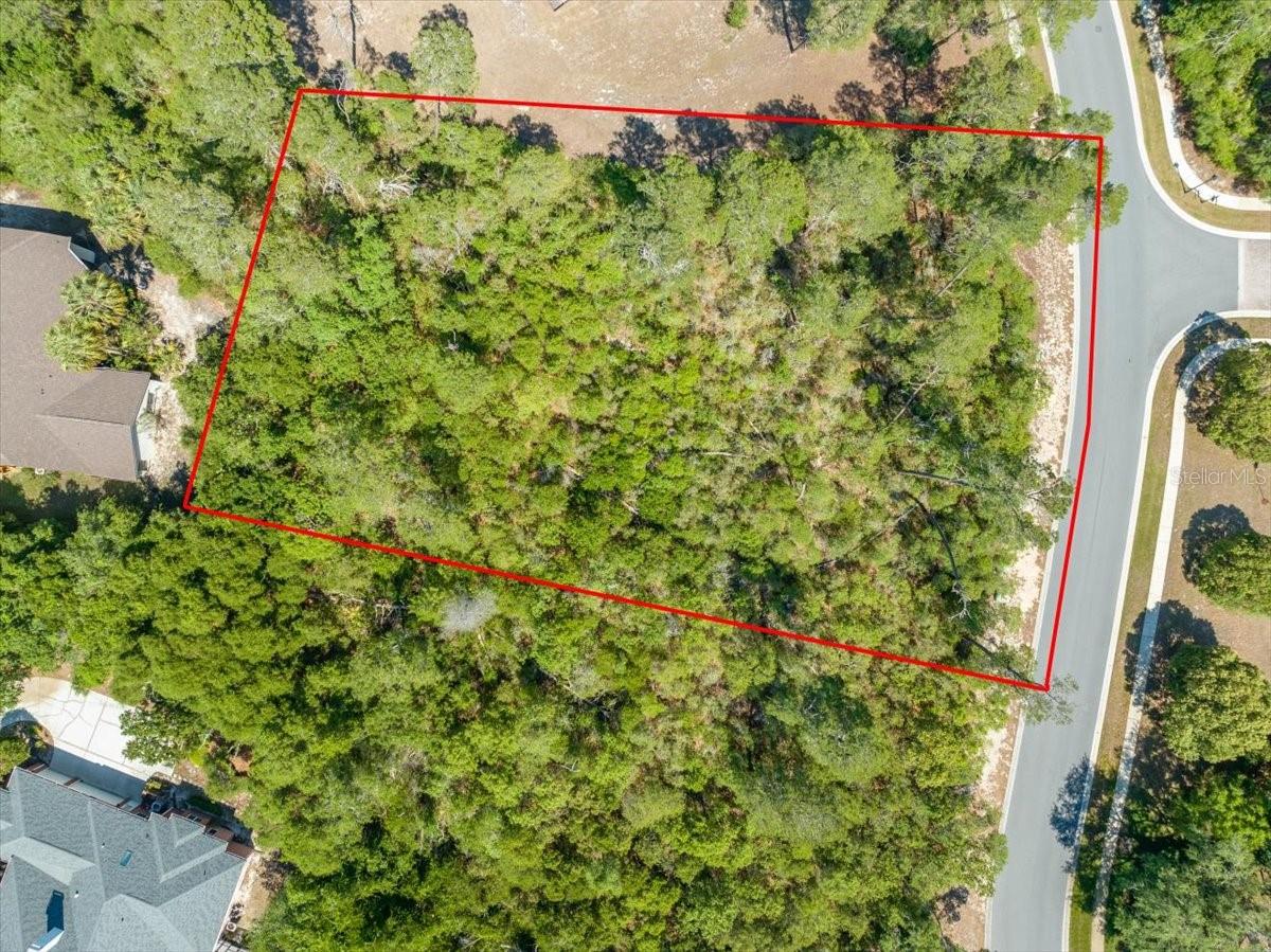 WATERS OF WEEKI WACHEE - Land