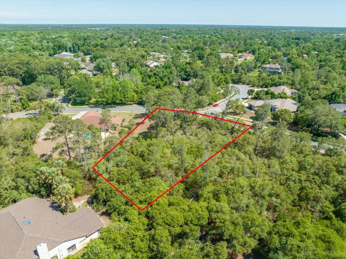 WATERS OF WEEKI WACHEE - Land