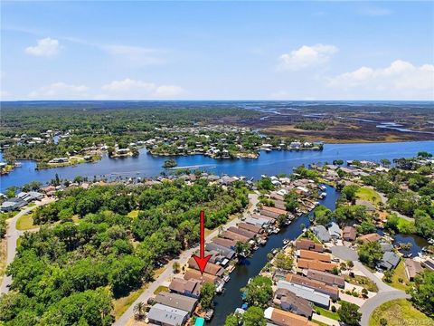Tiny photo for 5198 S Riverview Circle, Homosassa, FL 34448 (MLS # W7884868)
