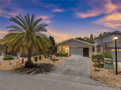 Photo of 5198 S Riverview Circle, Homosassa, FL 34448 (MLS # W7884868)