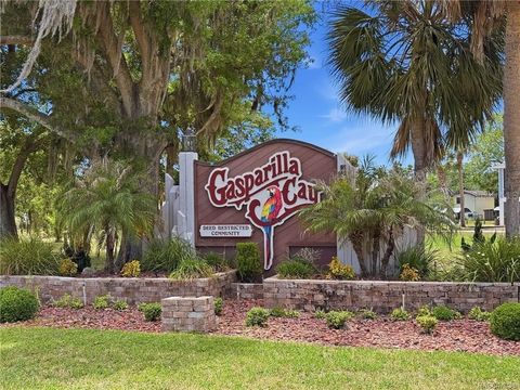 Tiny photo for 5198 S Riverview Circle, Homosassa, FL 34448 (MLS # W7884868)