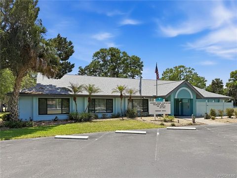Tiny photo for 5198 S Riverview Circle, Homosassa, FL 34448 (MLS # W7884868)
