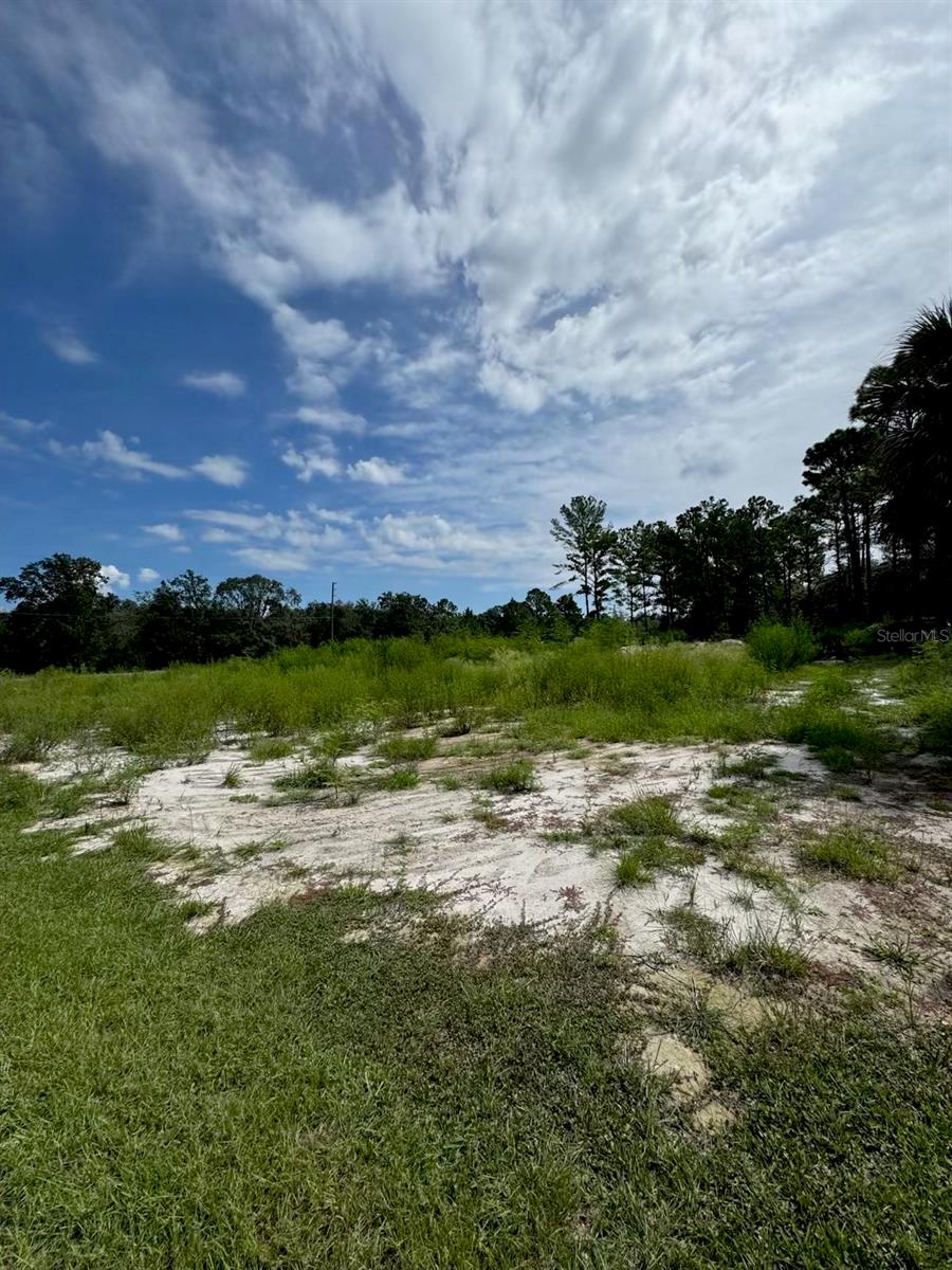 ROYAL HIGHLAND - Land