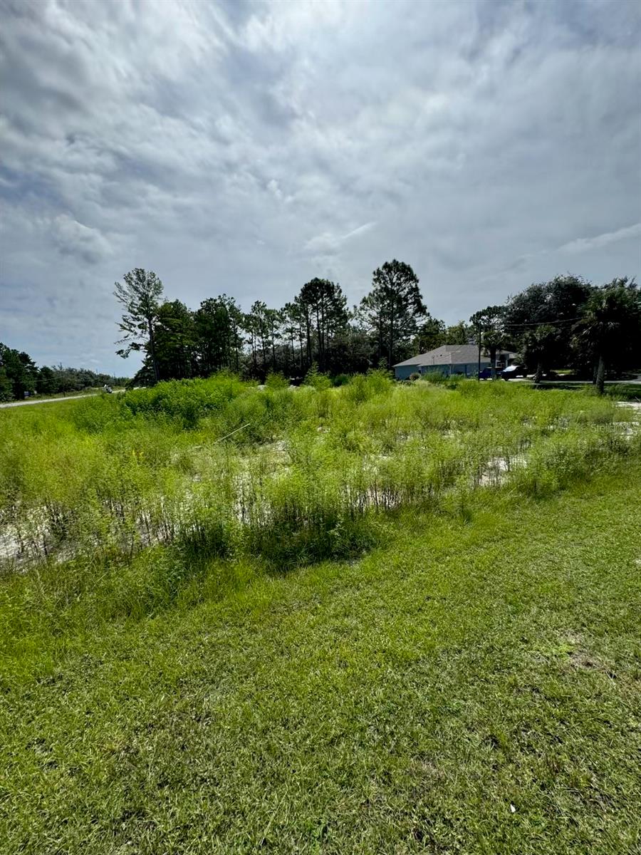 ROYAL HIGHLAND - Land