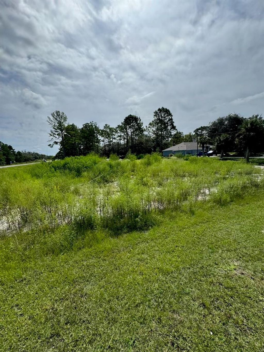 Photo of 13142 Mottled Duck Rd, Weeki Wachee, FL 34614 (MLS # TB8443449)