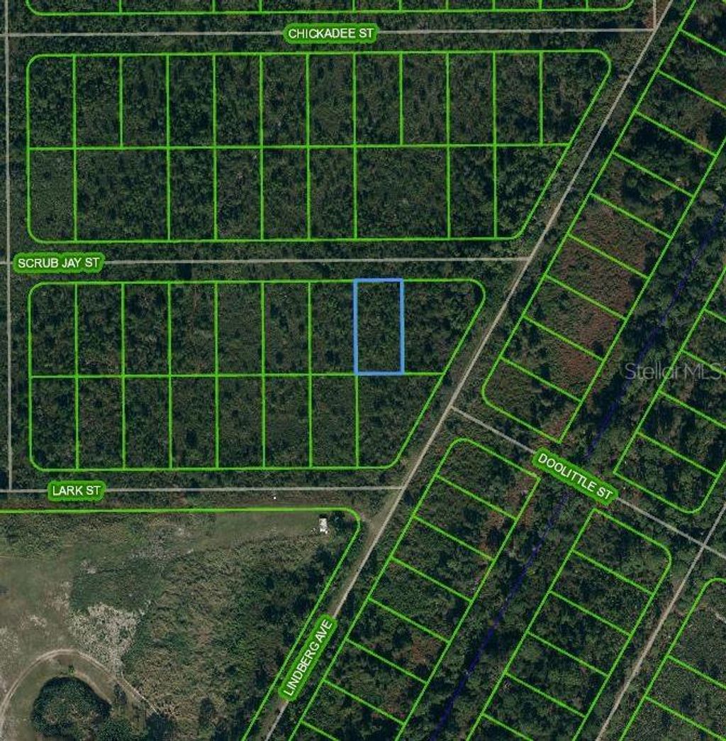 Photo of 1435 Scrub Jay Street, Lake Placid, FL 33852 (MLS # OM624804)