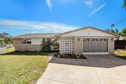 A home in PORT RICHEY