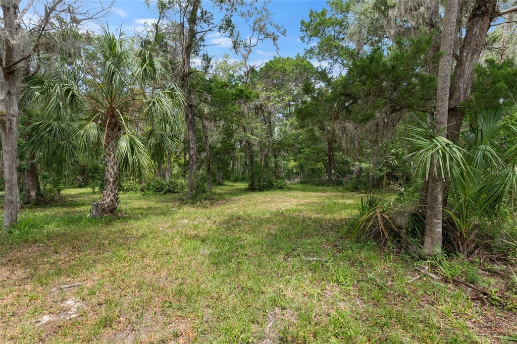 Photo of 6929 S Haulover Point, Homosassa, FL 34448 (MLS # OM730893)