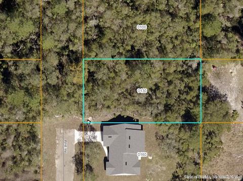 Photo of Pine Avenue, Orange City, FL 32763 (MLS # TB8483607)