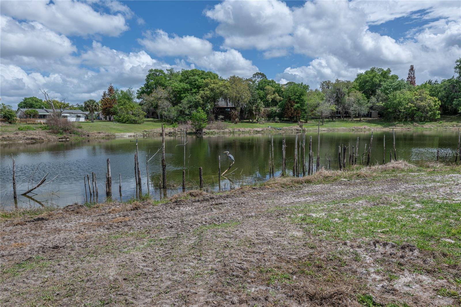 PLANTATION ESTATES - Residential