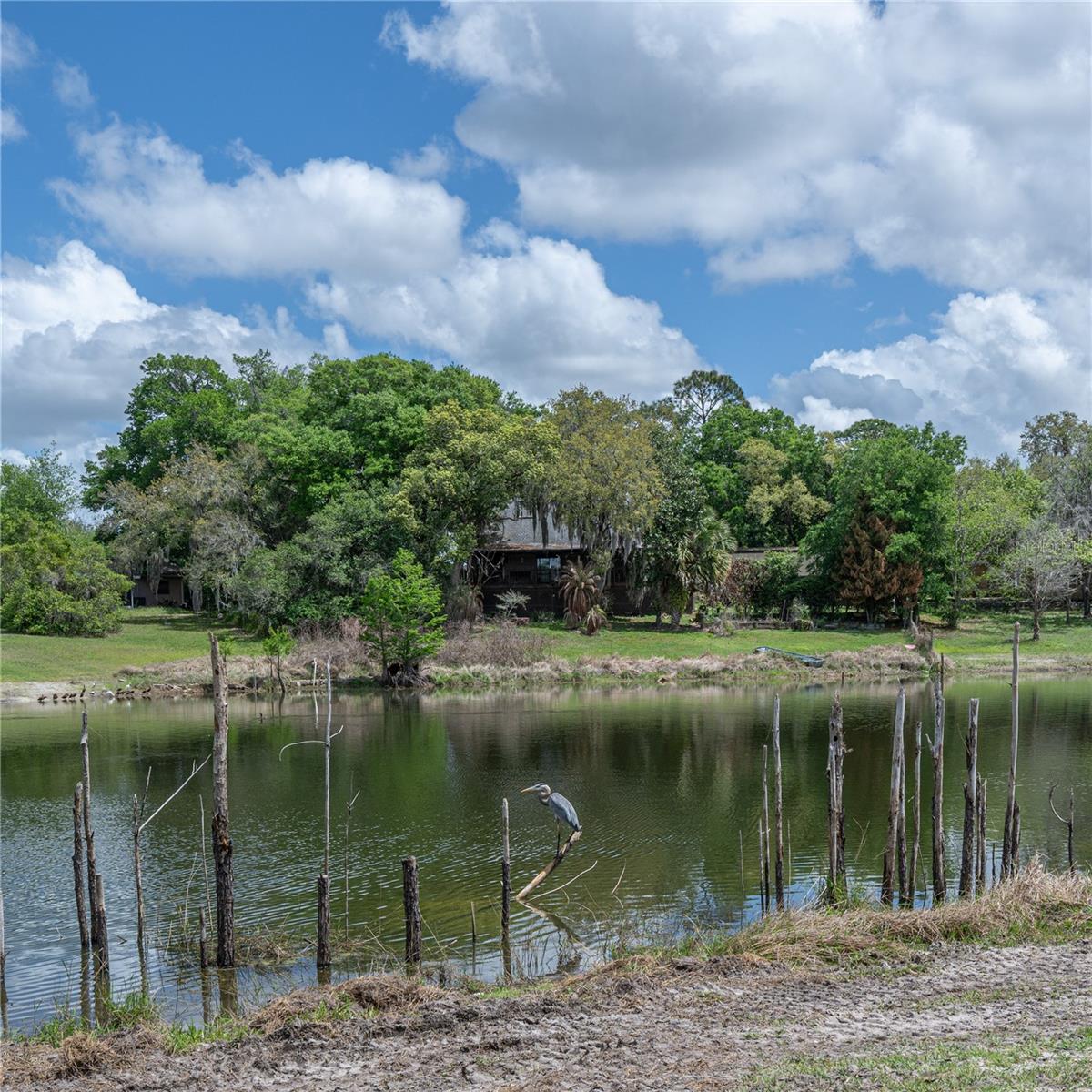 PLANTATION ESTATES - Residential