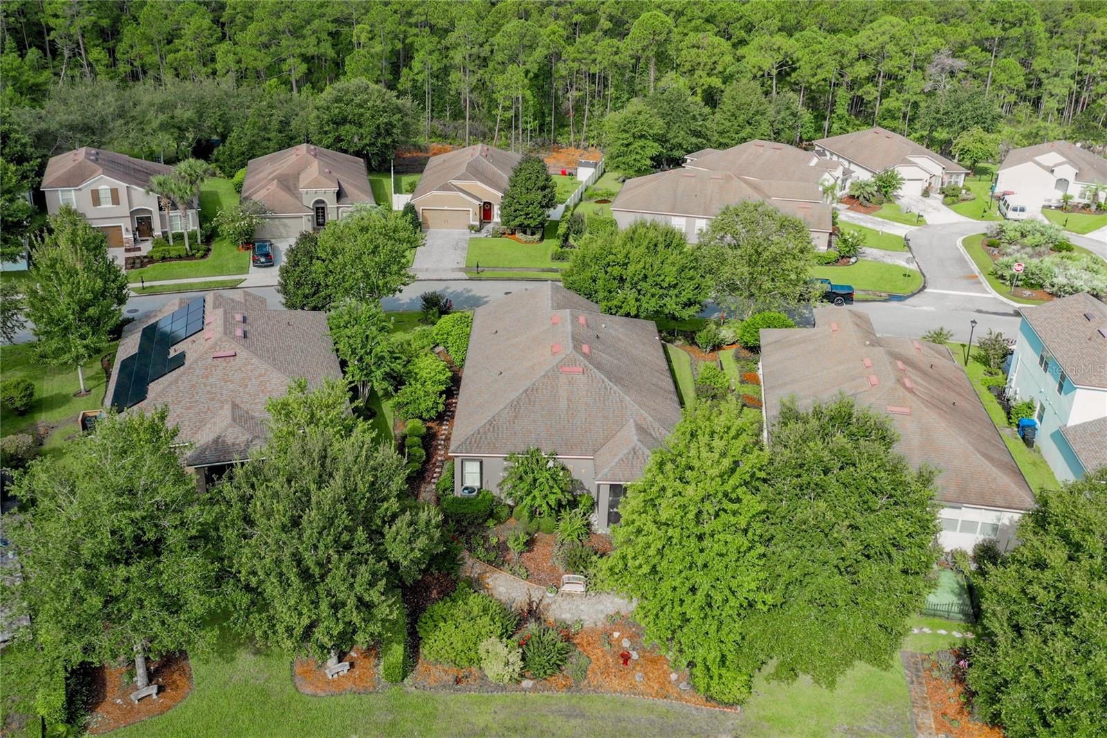 LAS CALINAS - Residential