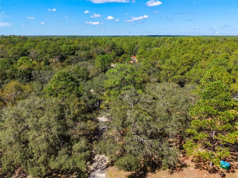 4750 Sw 160th Court, Ocala, FL 34481