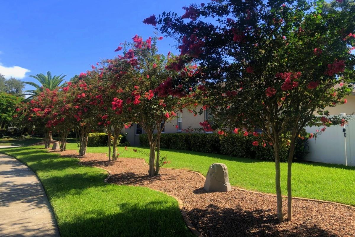 NORTHWOOD WEST - Residential