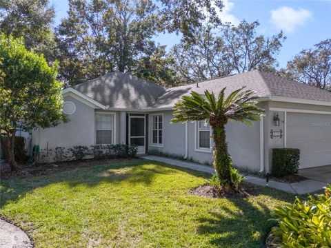 A home in MOUNT DORA