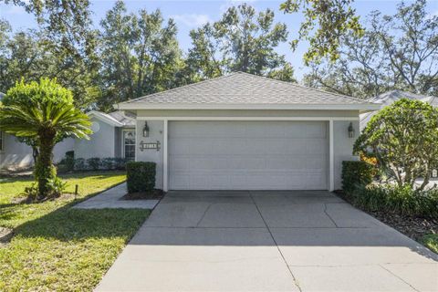 A home in MOUNT DORA