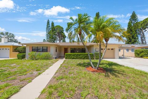 1305 MARION DRIVE S ST PETERSBURG FL 33707