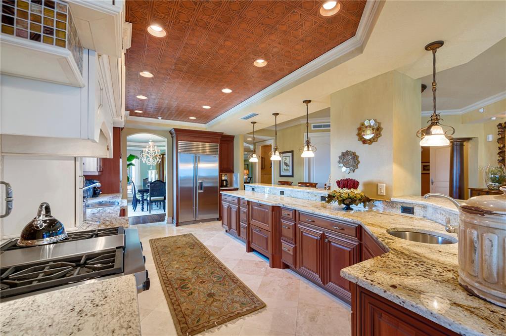 ALTA VITA CONDO - Residential