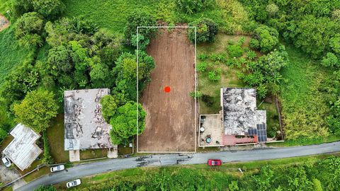 CAMINO EL MANGOA 7 HUMACAO  00791