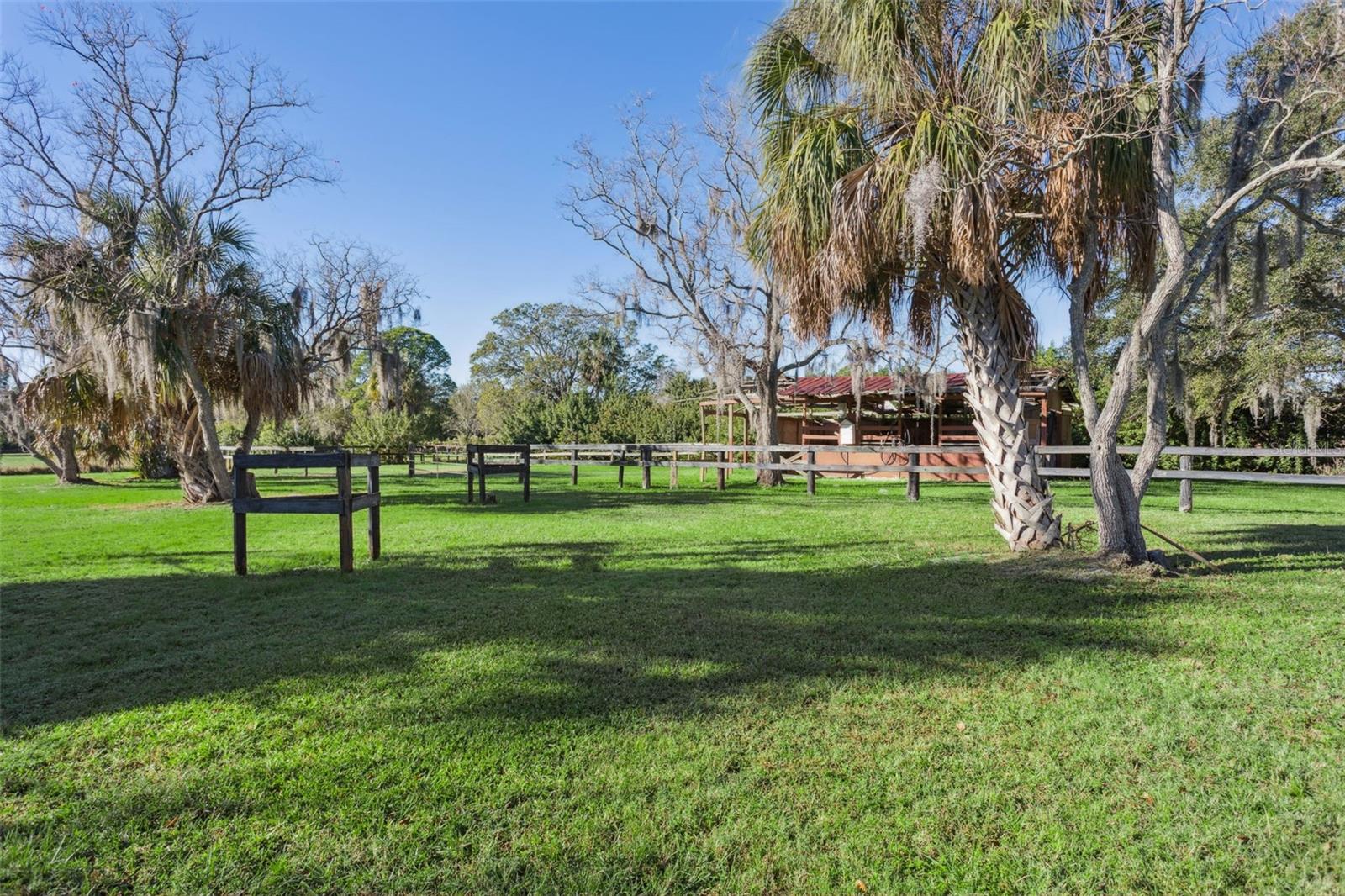 OLDSMAR FARM - Residential