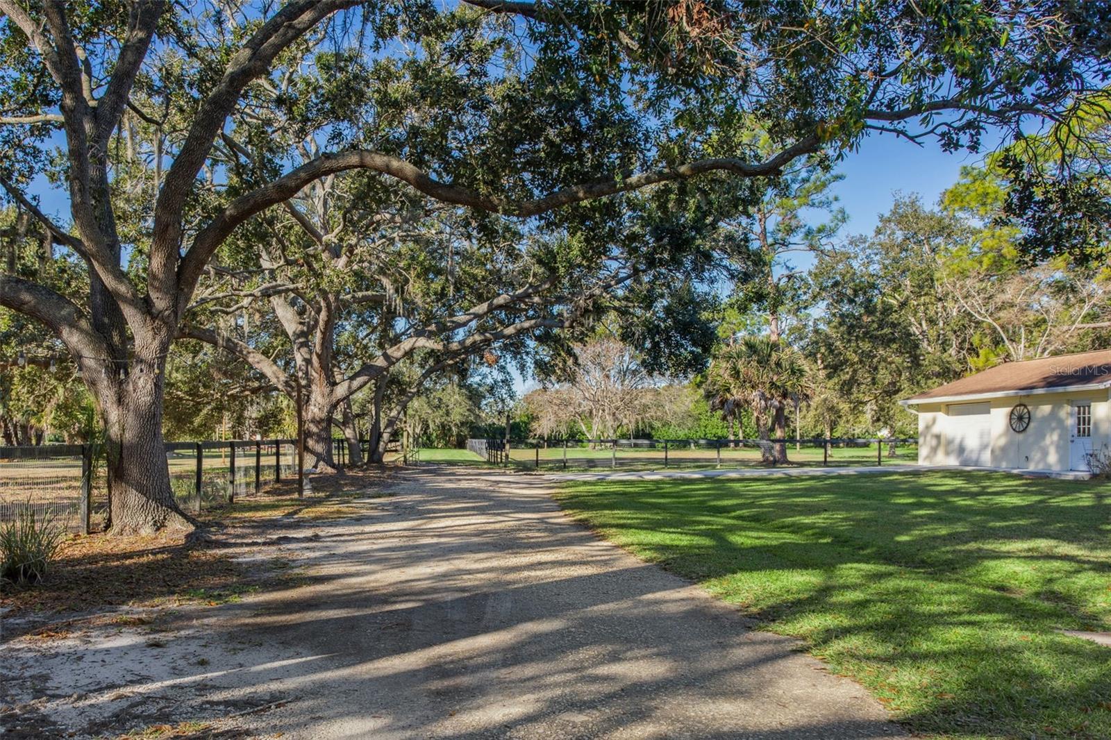 OLDSMAR FARM - Residential