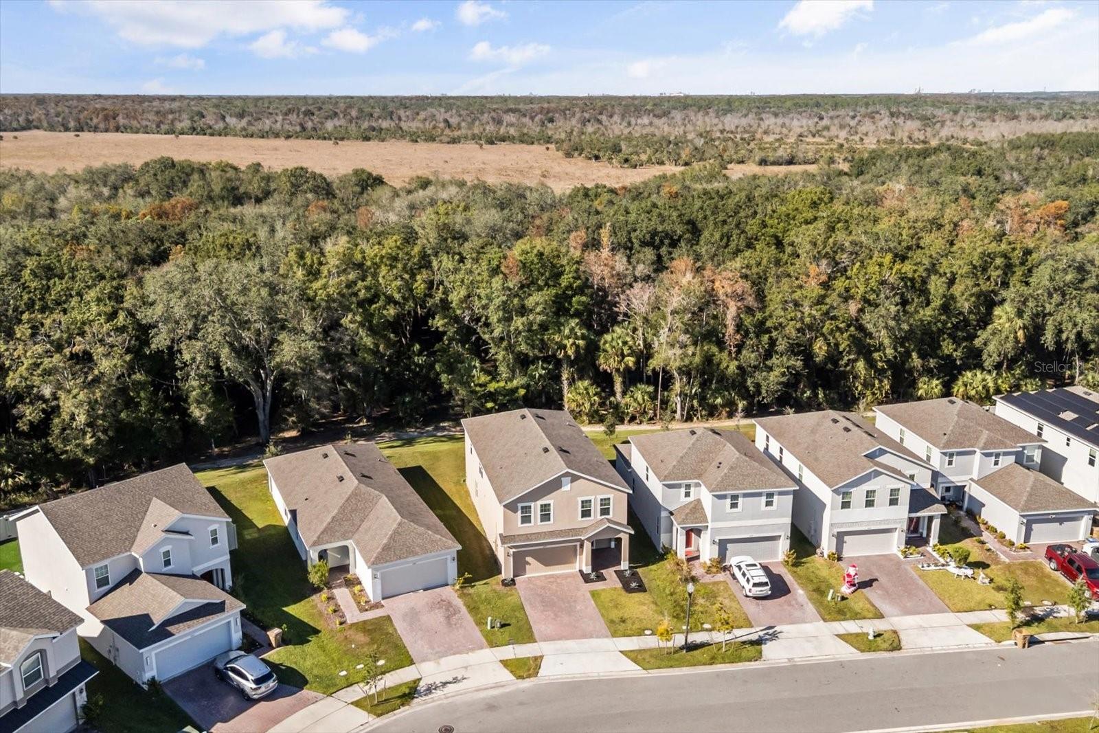 CYPRESS HAMMOCK PH 2 - Residential