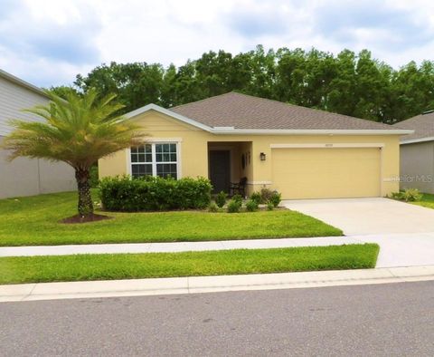 Photo of 18292 Hunters Meadow Walk, Land O Lakes, FL 34638 (MLS # TB8387277)