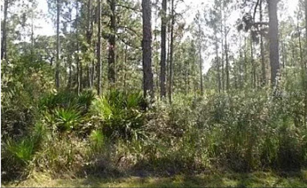 Photo of Hwy 60 E, Lake Wales, FL 33898 (MLS # O6270654)