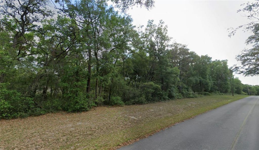 Photo of Tbd SE 59th Street, Ocklawaha, FL 32179 (MLS # OM716493)