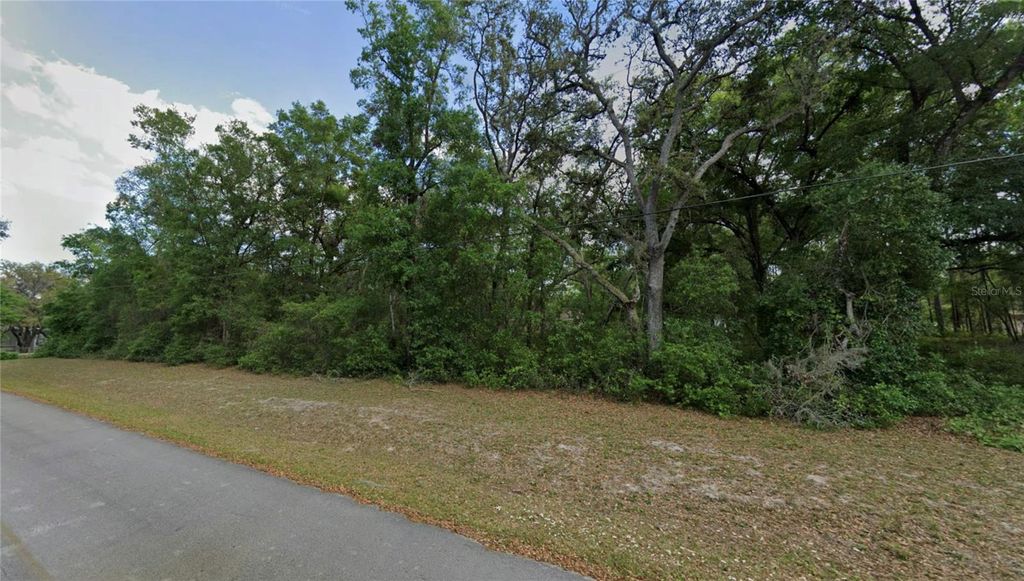 Photo of Tbd SE 59th Street, Ocklawaha, FL 32179 (MLS # OM716493)