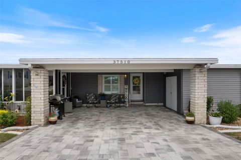 A home in ZEPHYRHILLS