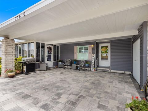 A home in ZEPHYRHILLS