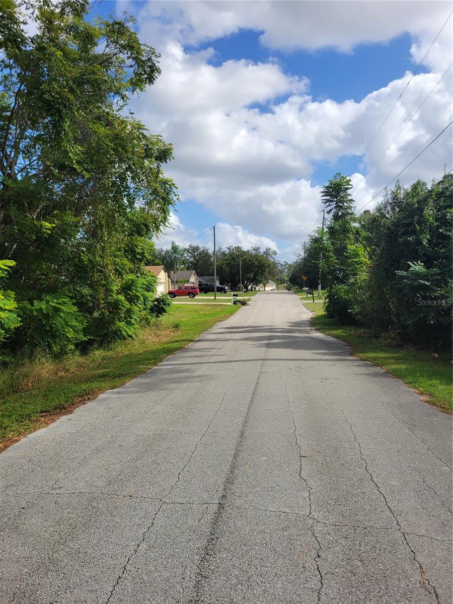 Welcome to Beautiful Debary, Florida. This ready to build home lot is conveniently located just down the road from the Sun Rail Train, the soon to be built Debary Downtown (MAIN STREET), Beautiful Gemini Springs Park, shopping and other desirable destinations. As a BONUS, with the purchase of this home lot, you have the Option to purchase 10 Santiago as well for an additional $60K.